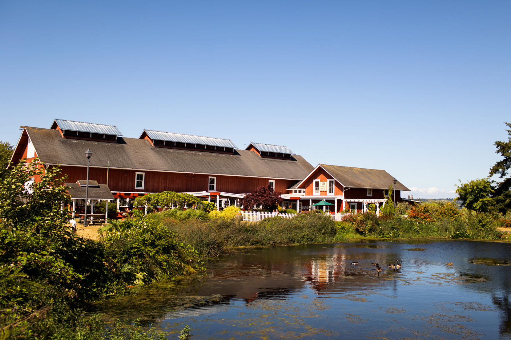 Greenbank Farm Wedding Photos